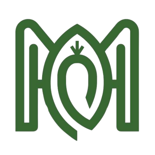 Hematon Agro Services